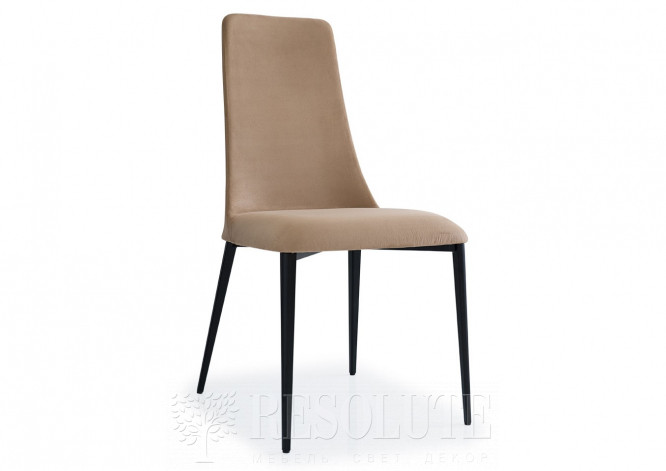 Стул металлический CS/1424-EV ETOILE Calligaris